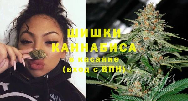 2c-b Пестово