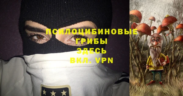 соль ск Абаза