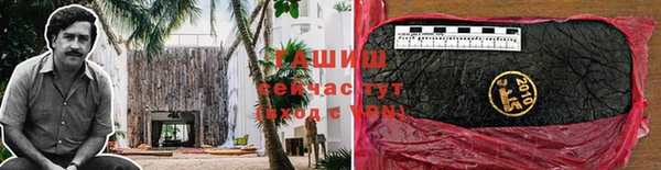 2c-b Пестово