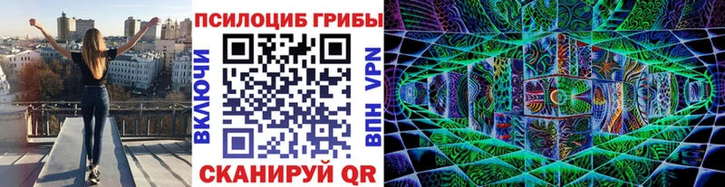 Галлюциногенные грибы мицелий  купить наркотики цена  Иваново 